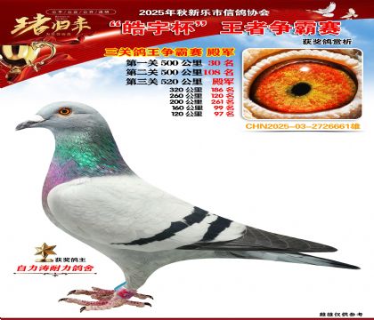 ������(zh��ng)�����P(gu��n)�C�ϵ�܊