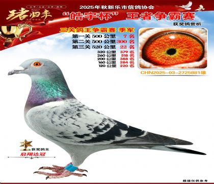 ������(zh��ng)�����P(gu��n)�C�ϼ�܊