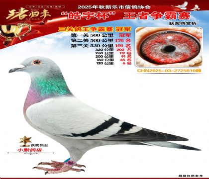 ������(zh��ng)�����P(gu��n)�C�Ϲ�܊