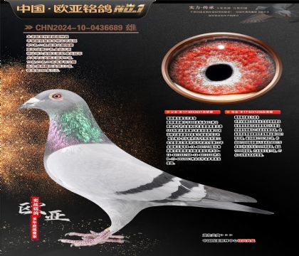 ��˹�D������ԭ��651X236