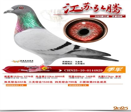 ���պ��ھ�������