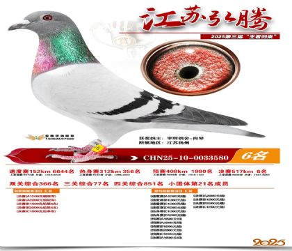 ���պ��ھ���6��