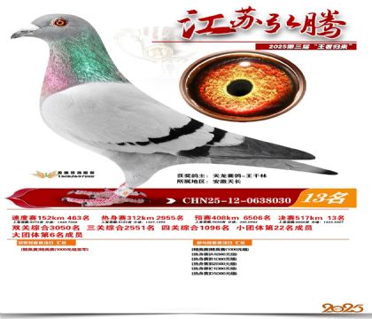 ���պ��ھ���13��