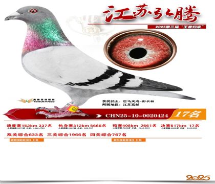 ���պ��ھ���17��