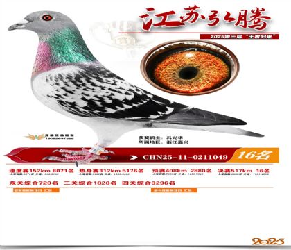 ���պ��ھ���16��