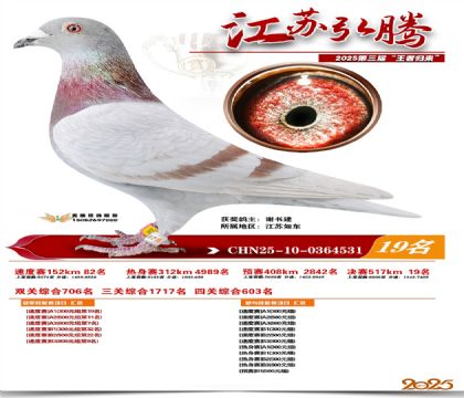 ���պ��ھ���19��