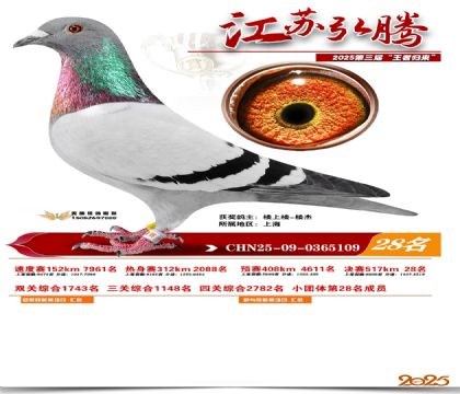 ���պ��ھ���28��