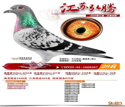 ���պ��ھ���29��