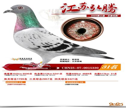 ���պ��ھ���31��