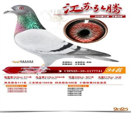 ���պ��ھ���34��