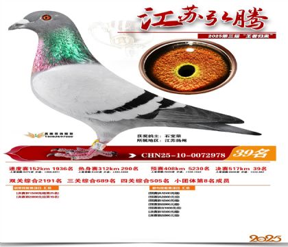 ���պ��ھ���39��