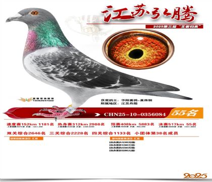 ���պ��ھ���55��