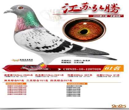 ���պ��ھ���61��