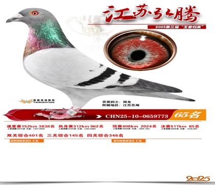 ���պ��ھ���65��