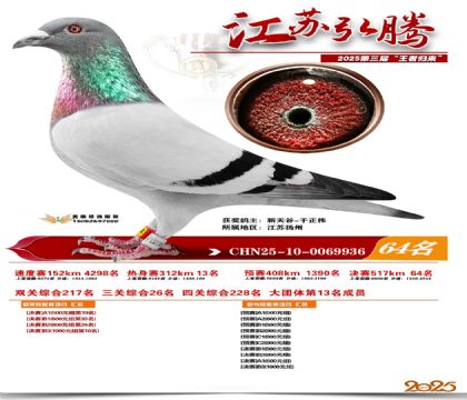 ���պ��ھ���64��