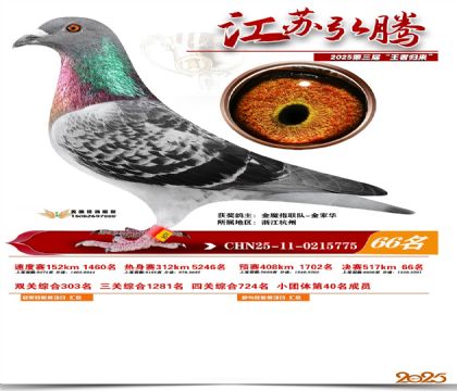 ���պ��ھ���66��