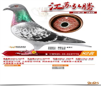 ���պ��ھ���82��