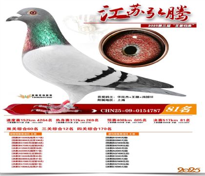 ���պ��ھ���81��