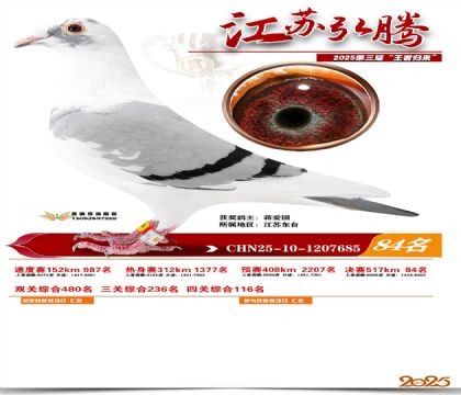 ���պ��ھ���84��