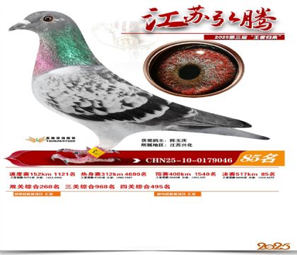 ���պ��ھ���85��