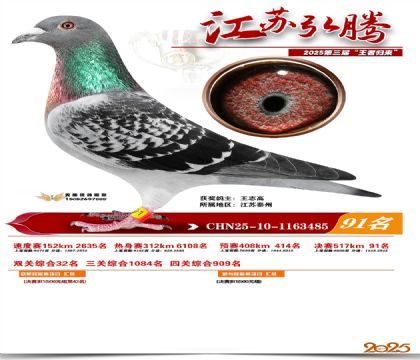 ���պ��ھ���91��