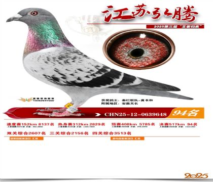 ���պ��ھ���94��