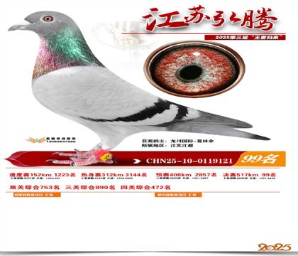 ���պ��ھ���99��