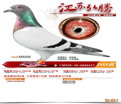 江苏弘腾决赛103名