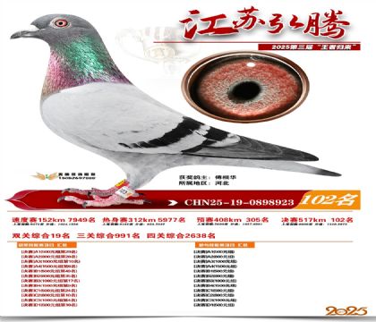 江苏弘腾决赛102名