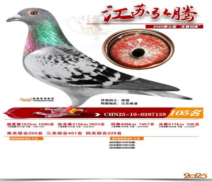 江苏弘腾决赛105名