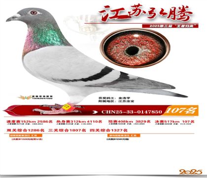 江苏弘腾决赛107名