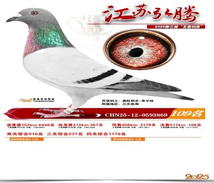 江苏弘腾决赛109名