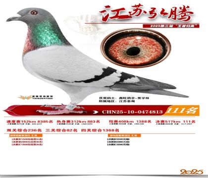 江苏弘腾决赛111名