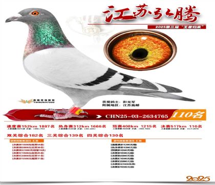 江苏弘腾决赛110名