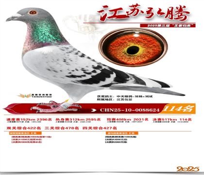 江苏弘腾决赛114名