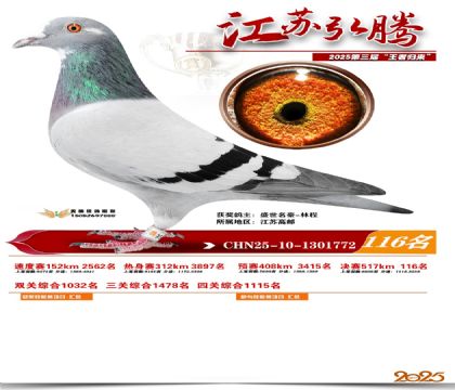 江苏弘腾决赛116名