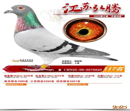 江苏弘腾决赛117名