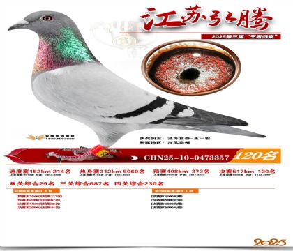 江苏弘腾决赛120名