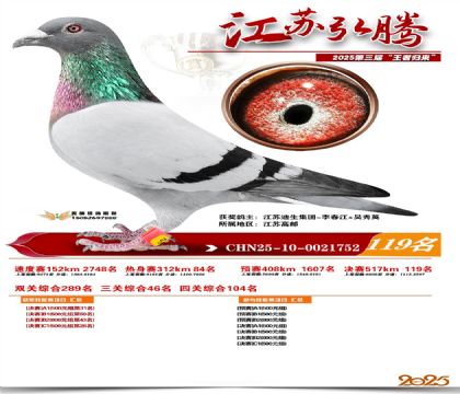 江苏弘腾决赛119名