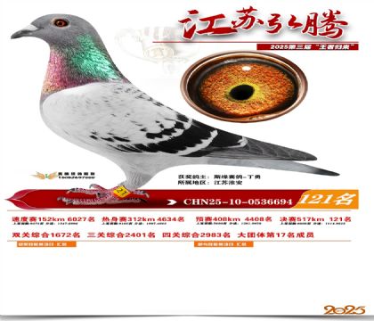 江苏弘腾决赛121名