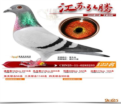 江苏弘腾决赛122名