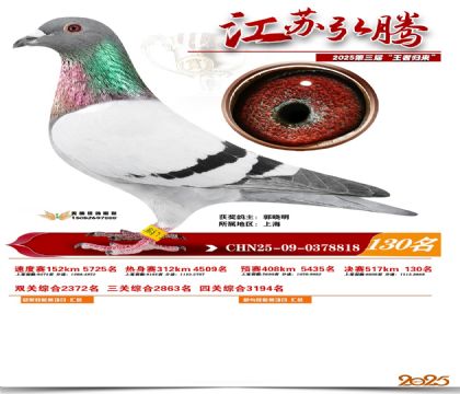 江苏弘腾决赛130名