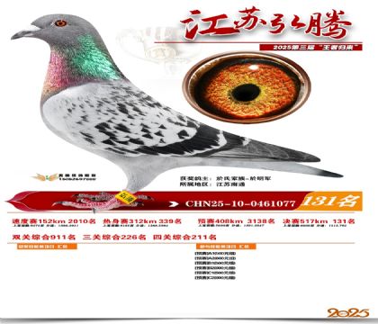 江苏弘腾决赛131名