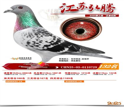 江苏弘腾决赛132名