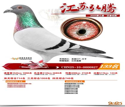 江苏弘腾决赛133名