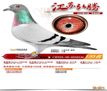 江苏弘腾决赛135名