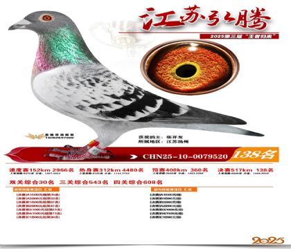 江苏弘腾决赛138名