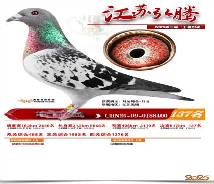 江苏弘腾决赛137名