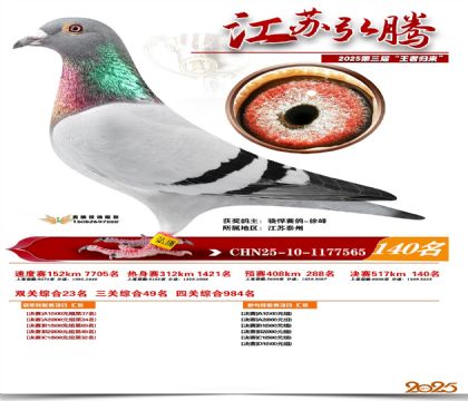 江苏弘腾决赛140名