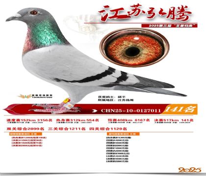 江苏弘腾决赛141名